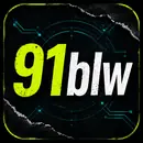 91网品牌标志